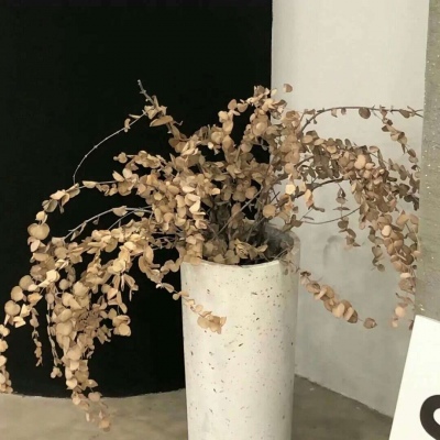 兽设沙漠场景设计兽圈群